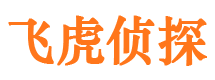 新洲市侦探公司